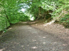 Penllwyn Tramroad trackbed looking West, Wattsville, August 2012